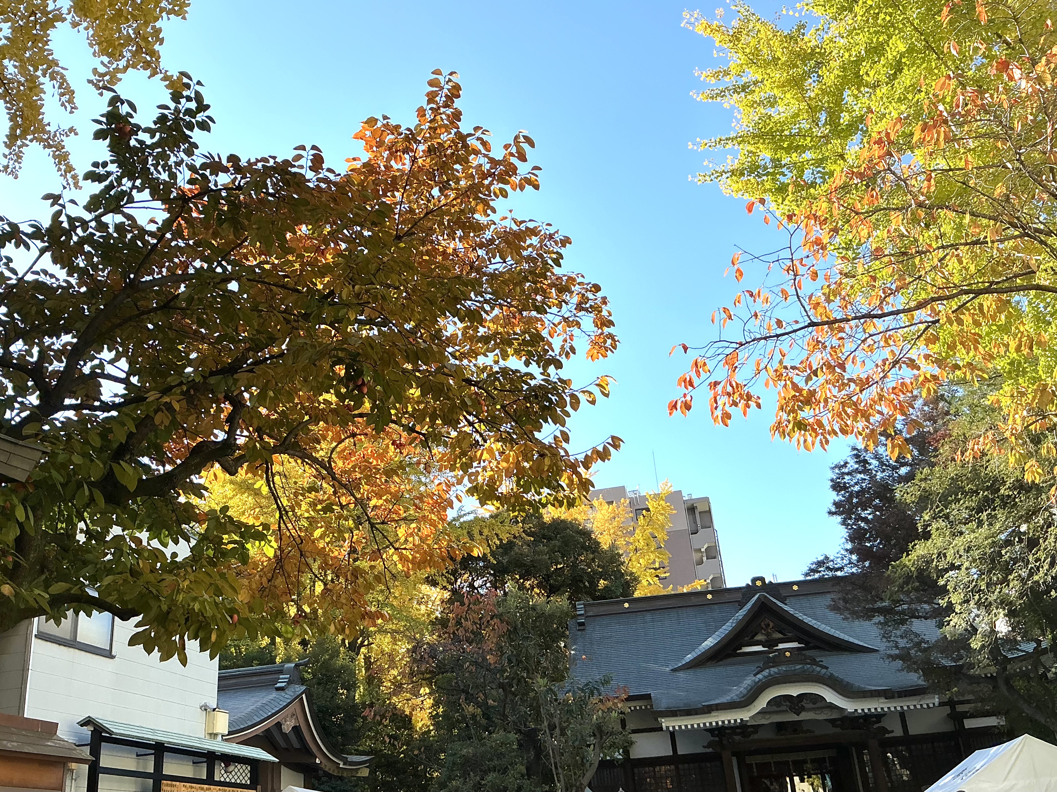 年末年始のお知らせ